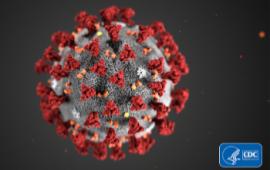 Coronavirus